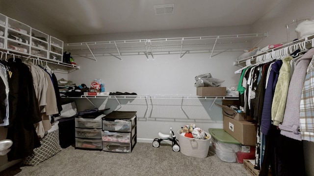 spacious closet featuring carpet flooring