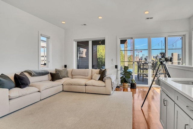 living room with a healthy amount of sunlight, sink, and light hardwood / wood-style floors