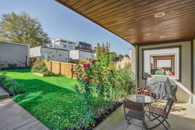 view of yard featuring a patio