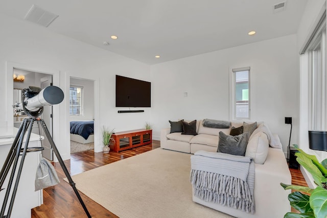 living room featuring hardwood / wood-style flooring and plenty of natural light