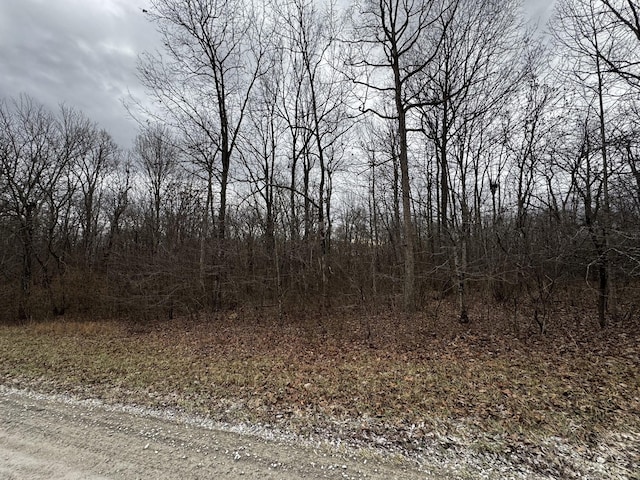 0 Hunters Ridge Trl, Altamont, TN 37301