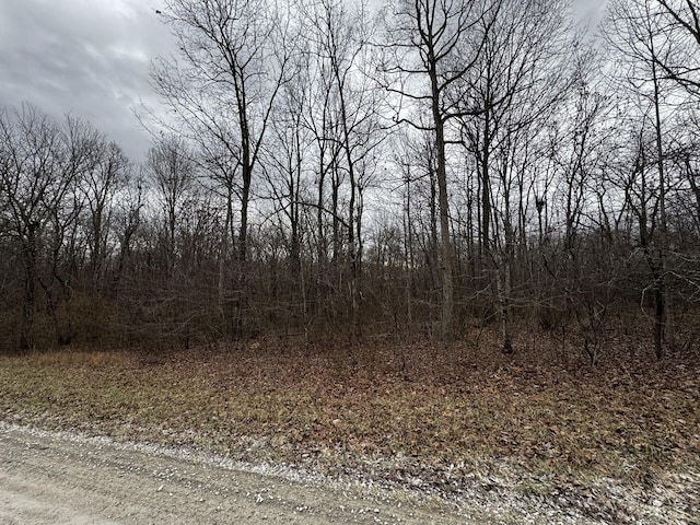 0 Hunters Ridge Trl, Altamont TN, 37301 land for sale