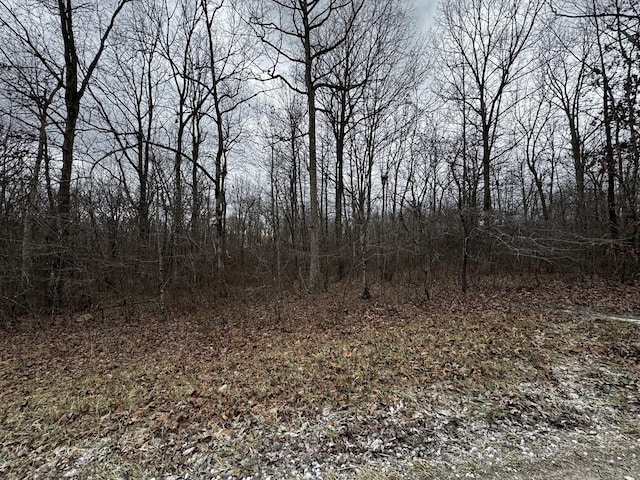 Listing photo 2 for 0 Hunters Ridge Trl, Altamont TN 37301