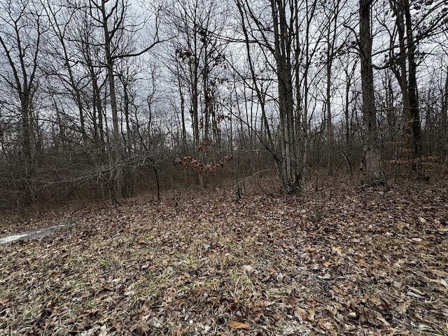 Listing photo 3 for 0 Hunters Ridge Trl, Altamont TN 37301