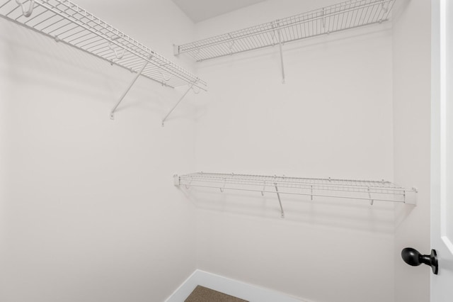 view of walk in closet