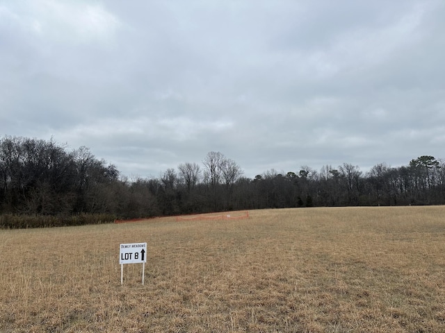 8 Southport Rd, Mount Pleasant TN, 38474 land for sale