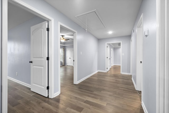 hall featuring dark hardwood / wood-style floors