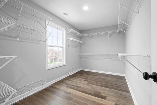 walk in closet featuring dark hardwood / wood-style floors