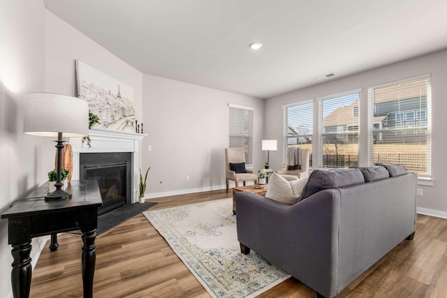 living room with wood-type flooring