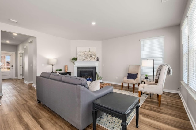 living room featuring wood-type flooring