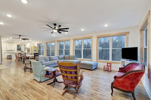 living room with ceiling fan and light wood-type flooring