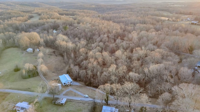 aerial view