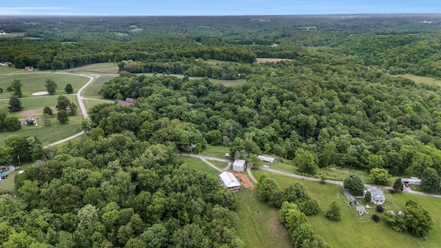 1157 Noah Reeves Rd, Ashland City, TN 37015 - aerial view of a forest