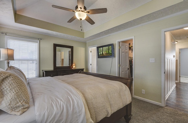 bedroom with crown molding, ceiling fan, dark colored carpet, a spacious closet, and a raised ceiling