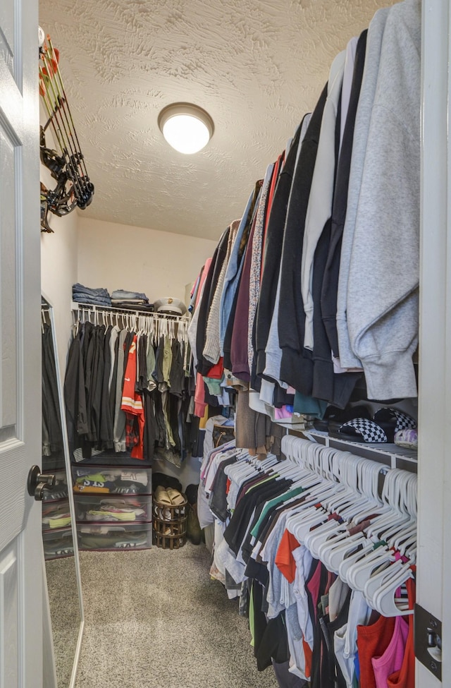 walk in closet featuring carpet flooring