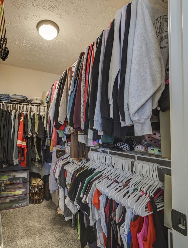 spacious closet featuring carpet