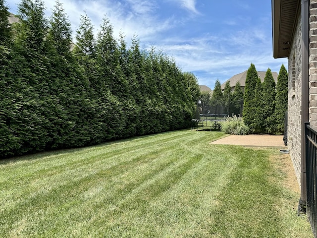 view of yard featuring a patio area and a trampoline