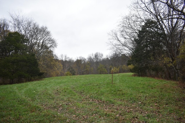 Listing photo 2 for 0 Dyers Branch Rd, Gordonsville TN 38563