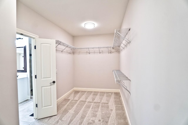 spacious closet with light carpet