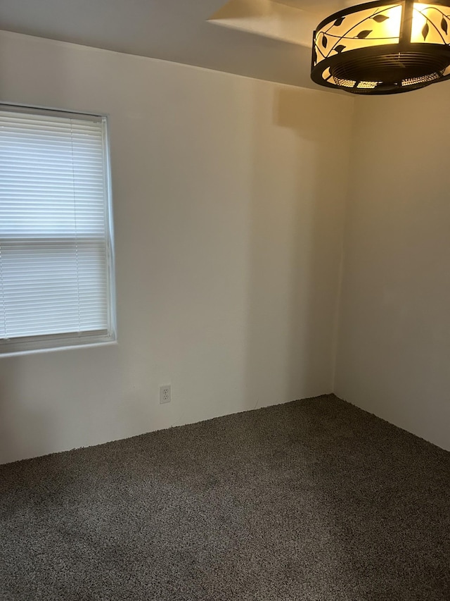 empty room featuring carpet floors