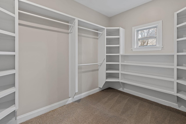 spacious closet with carpet floors