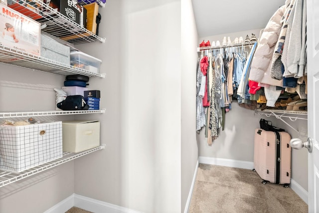 walk in closet featuring light colored carpet