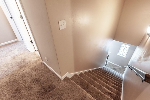 stairway featuring carpet