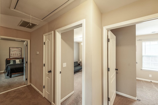 hallway with carpet