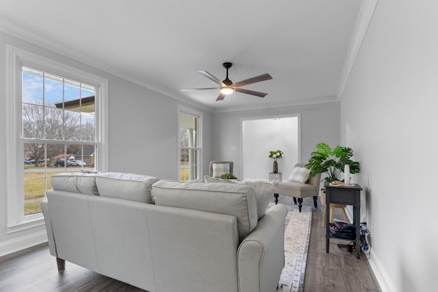 living room with crown molding, ceiling fan, and wood-type flooring