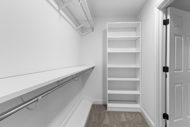 walk in closet with dark colored carpet