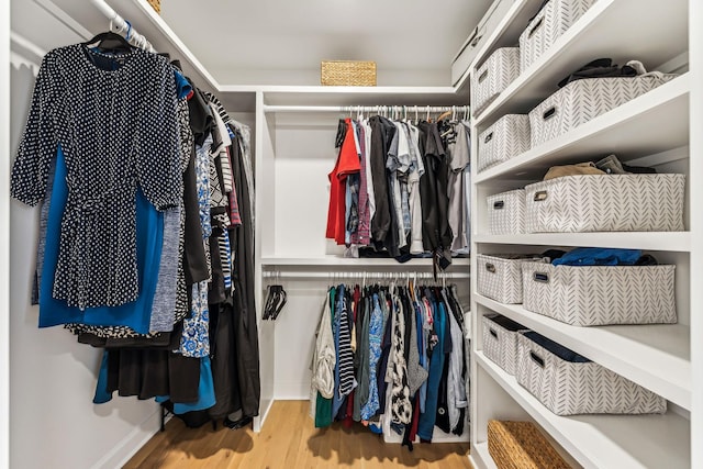 spacious closet with hardwood / wood-style floors