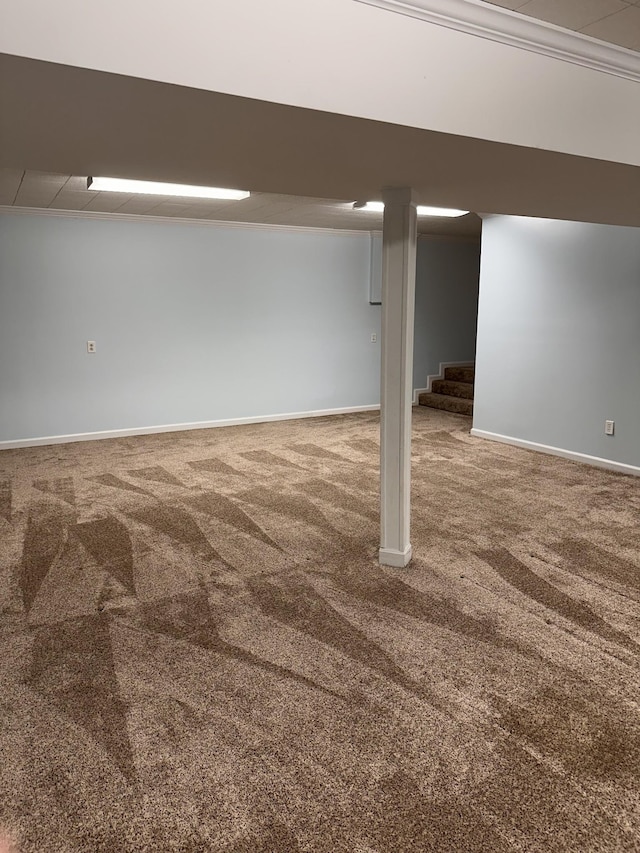 basement featuring carpet