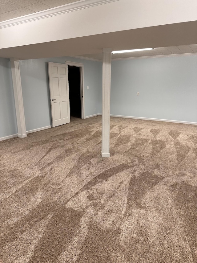 basement featuring crown molding and carpet floors