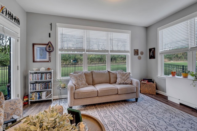 living room featuring plenty of natural light and wood-type flooring