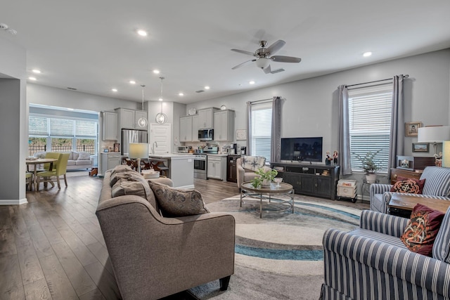 living room featuring plenty of natural light, sink, and hardwood / wood-style floors