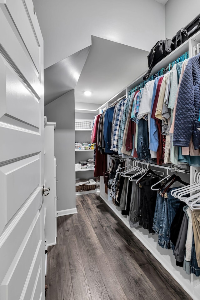 spacious closet featuring dark hardwood / wood-style floors