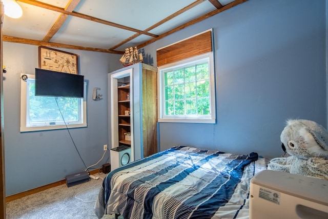 bedroom with carpet flooring