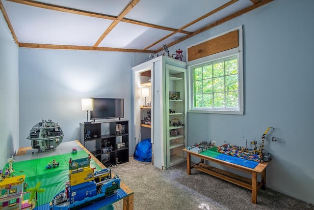 playroom with carpet flooring