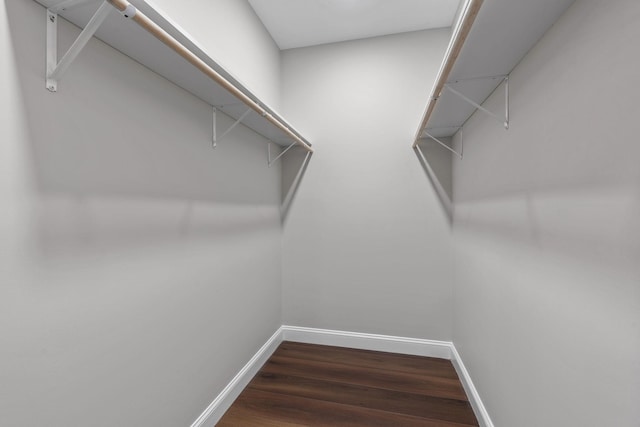 spacious closet with dark hardwood / wood-style floors