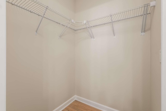 walk in closet featuring wood-type flooring