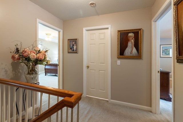 hallway with light carpet