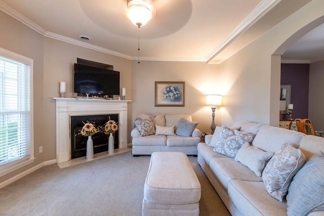 carpeted living room with ornamental molding and a healthy amount of sunlight