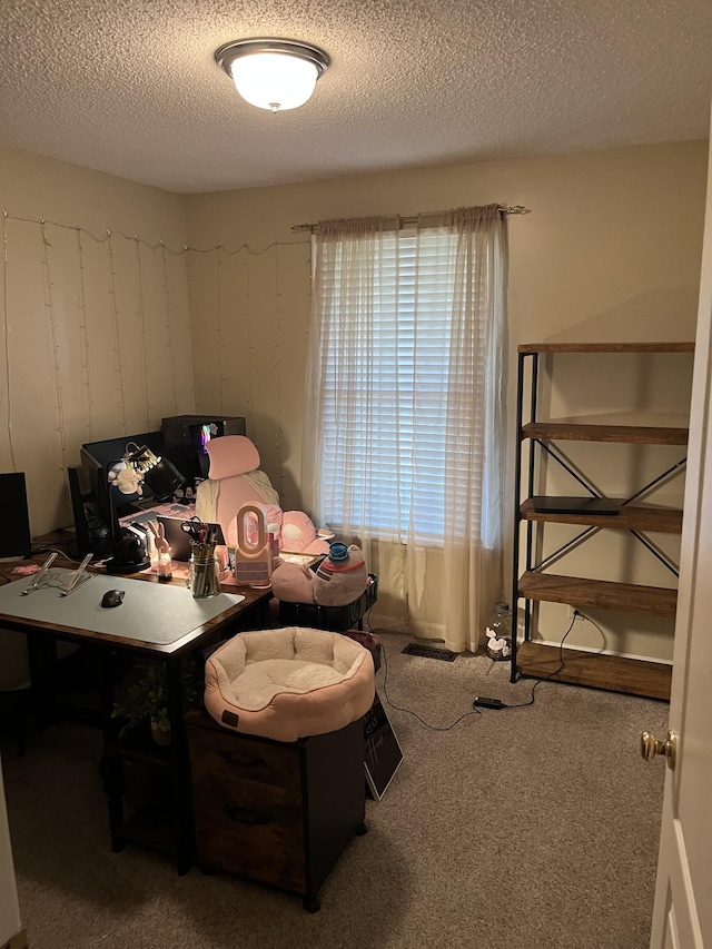 carpeted home office with a textured ceiling