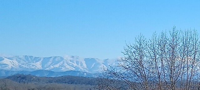 property view of mountains