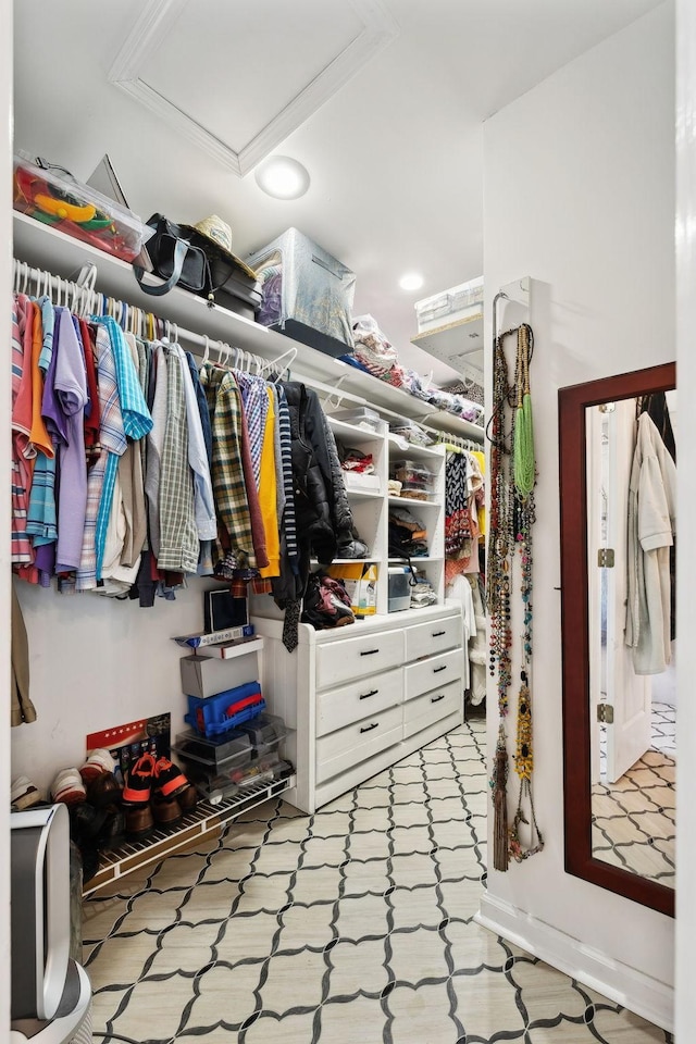 view of walk in closet