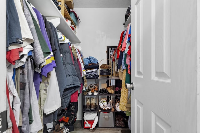 spacious closet featuring hardwood / wood-style floors