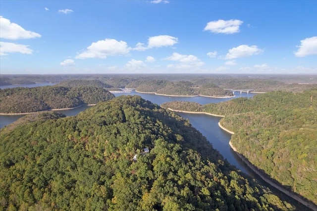 Listing photo 3 for 0 Lakeside Dr, Smithville TN 37166