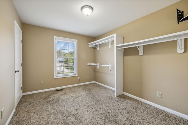 walk in closet featuring carpet floors