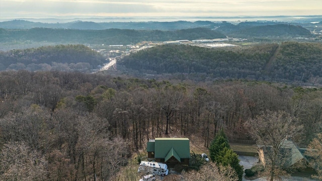 property view of mountains