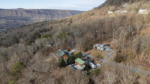 drone / aerial view featuring a mountain view